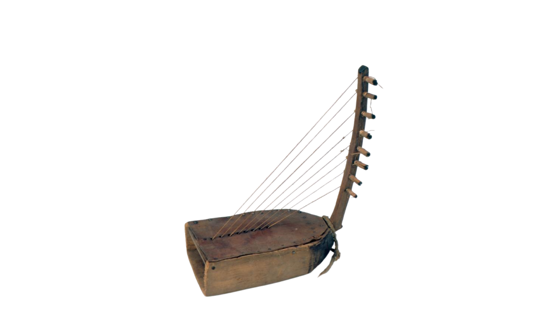 Adungu