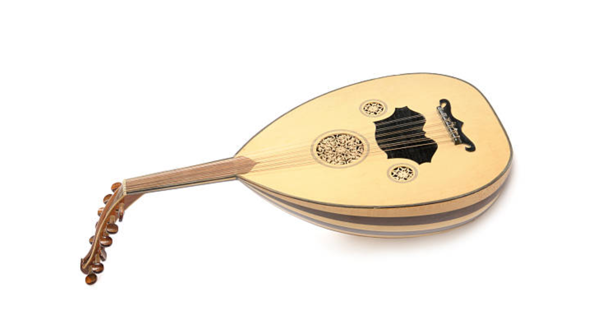 Lute